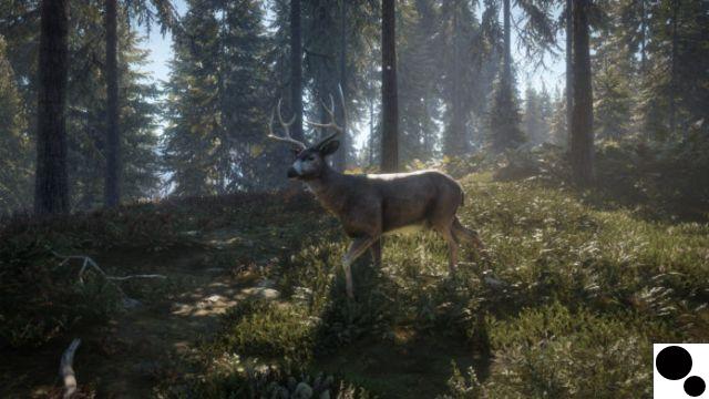 7 Best Hunting Games on Xbox One