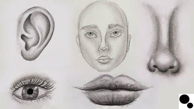 How to draw a realistic face step by step?